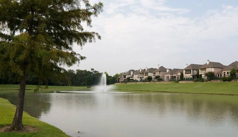 Cypress